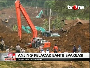 Anjing Pelacak Bantu Pencarian Korban Longsor Pangalengan