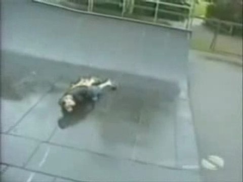 Régis fait du skate