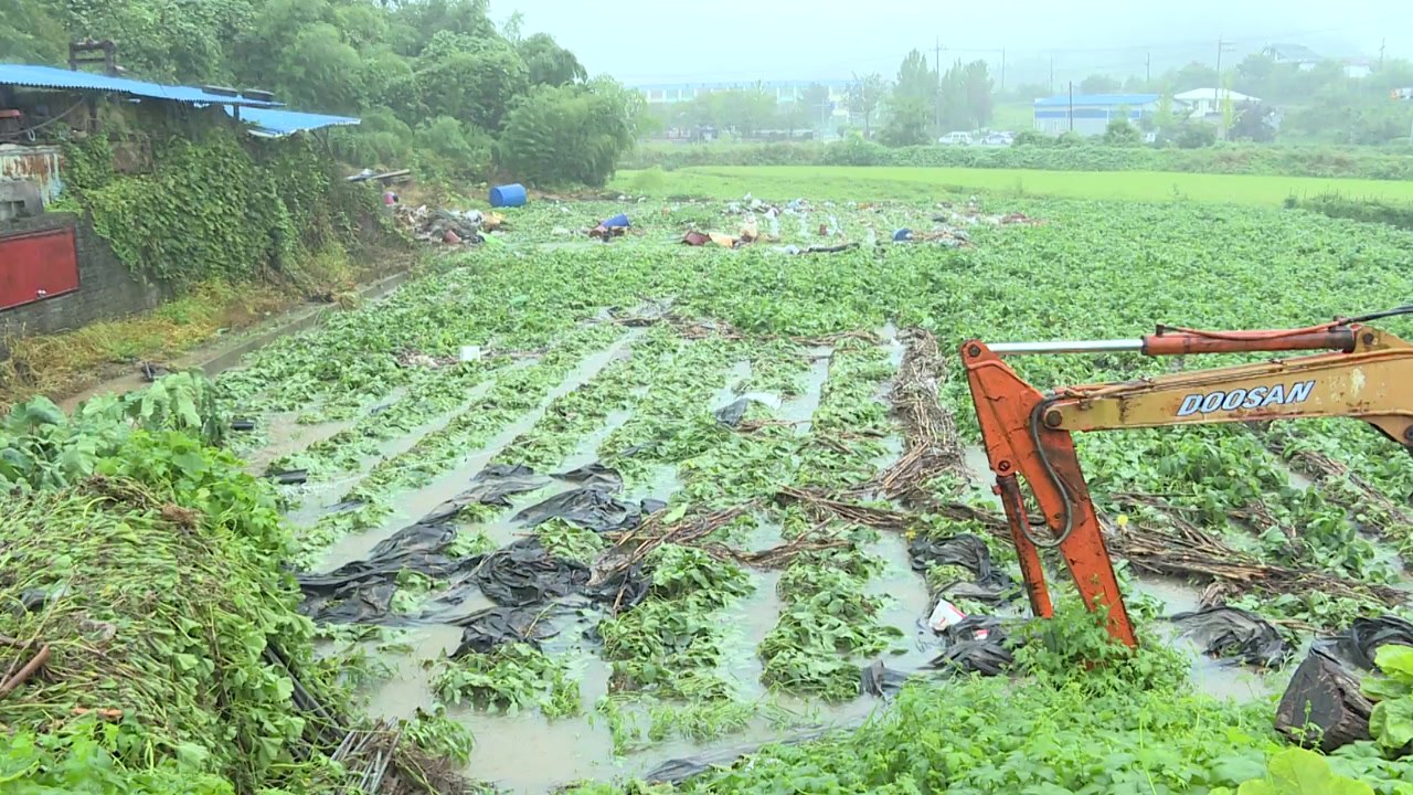 태풍 복구도 덜 됐는데...전국 곳곳 비 피해 / YTN