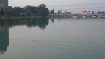 Adana Nehre Atlayan Kadını Vatandaşlar Kurtardı Hd