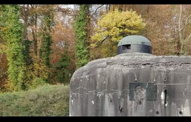 World War II Witness to War S01 - Ep01 Fall Of France HD Watch