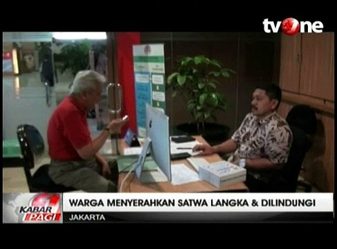 Warga Serahkan Kakatua Jambul Kuning ke Kemenhut