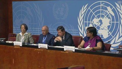 BM'den 'Arakan' raporu (3) - CENEVRE