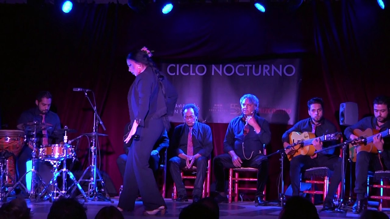 'El Cigala' clausura la V edición del 'Flamenco on Fire'