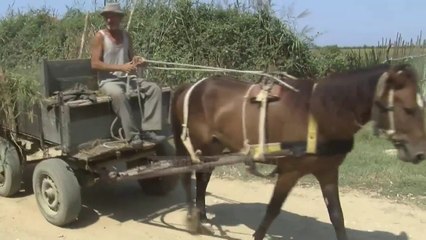 Pranë Durrësit, pa rrugë  - Top Channel Albania - News - Lajme