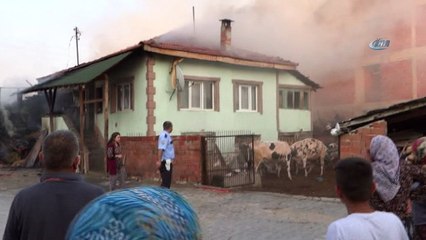 Büyükbaş hayvanlar yangından son anda kurtarıldı