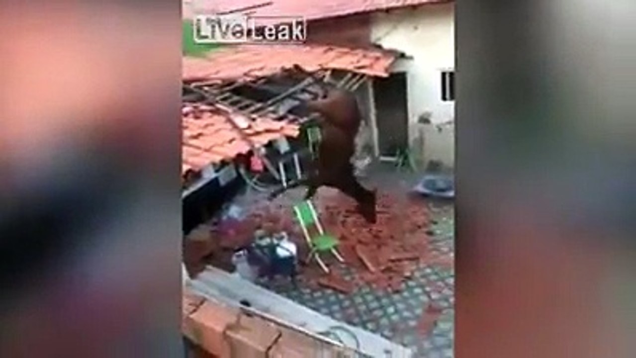 'Da steht ein Pferd auf dem Flur' war gestern, heute liegt es auf dem Dach und wirft Ziegelsteine nach unten. Selbst das Pferd merkt, dass in diesem Video etwas