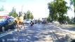 Un cheval renverse un motard en pleine route !