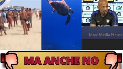 Dal blitz di 'Noi con Salvini' al cronista Rai offeso... Ma anche no!