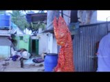 Indian Road side fish fry / Best south indian street food