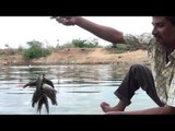 Fish Catching, Cleaning and Cooking in a different way / VILLAGE FOOD FACTORY / STREET FOOD