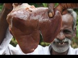 Mutton Liver Prepared by My DADDY in my village / VILLAGE FOOD FACTORY