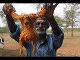My daddy prepare and eat a entire Chicken fry in my village / VILLAGE FOOD FACTORY