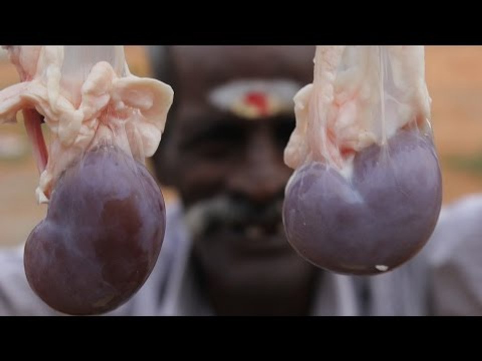 LAMB KIDNEY Soup prepared by my daddy in my village / VILLAGE FOOD FACTORY