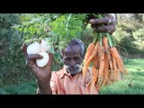 Farm Fresh CARROT with  EGG Prepared by My Daddy in my village / Village food factory