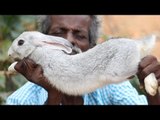 RABBIT Roast Prepared by my Daddy in my village / Village food factory