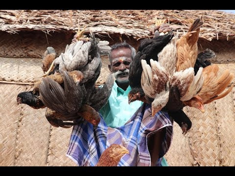 Country Chicken Gravy prepared by my DADDY ARUMUGAM / Village food factory