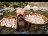 Special LOLLIPOP Prepared by My DADDY ARUMUGAM / Village food factory