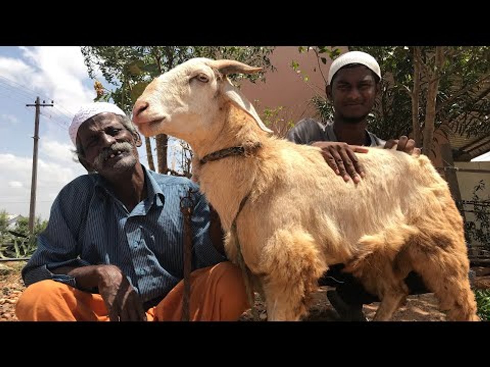 Unseen MUTTON KEEMA BRIYANI Prepared by my DADDY / Village food factory