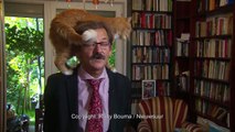 Gato decide interromper entrevista em direto do dono ao subir para seus ombros