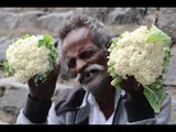 Cauliflower Chilly / Village food factory