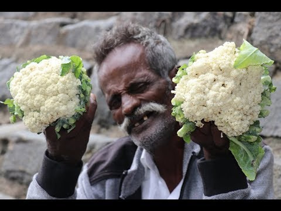 Cauliflower Chilly / Village food factory