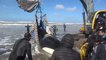 Emocionante rescate de varias orcas en Argentina