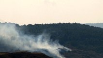 İstanbul'da Askeri Alanda Orman Yangını Çıktı