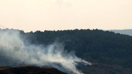 İstanbul'da Askeri Alanda Orman Yangını Çıktı