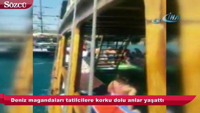 Deniz magandaları tatilcilere korku dolu anlar yaşattı