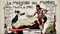 Milly-la-forêt / parcelle maïs ogm