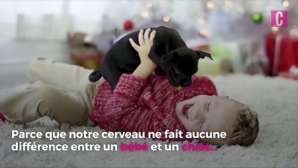 Pourquoi adore-t-on les chiens ?