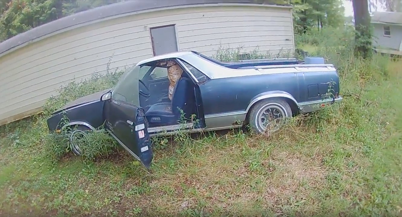 Il découvre un gigantesque nid de frelons dans sa voiture