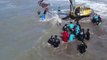 Stranded Orca Returned to Sea in Nueva Atlantis