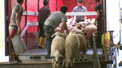 SOS Vakfı'ndan kurban yardımı