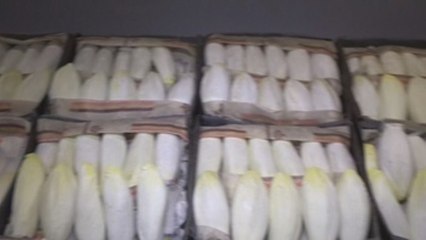 La endivia de Bruselas también quiere su protagonismo