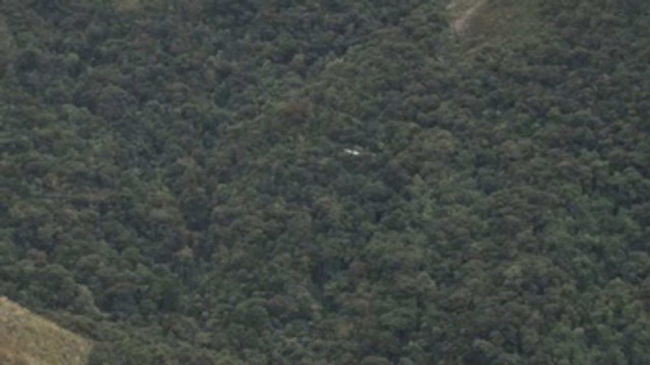 Más de medio millar de voluntarios en Ecuador realizan censo de cóndores