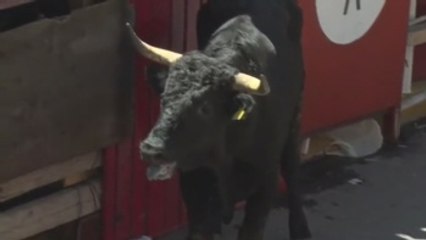 Un pueblo taurino de México celebra sus San Fermines conocidos como la Huamantlada