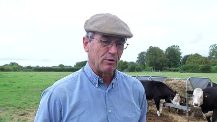 Farmers forced to spend thousands on feed after hot weather
