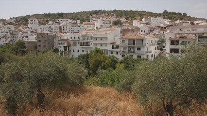 Mata a golpes a una compañera del asilo e hiere a otro
