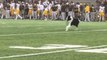 Kicking Tee-Retrieving 'Wonder Dog' Steals the Show at College Football Game