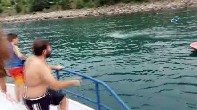 Denizde yüzerken bulunan danayı Haluk Levent satın aldı