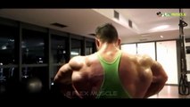 Mattia Vecchi _ VASCULAR ITALIAN BEAST