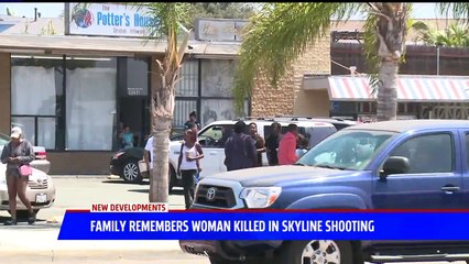 San Diego Mom Fatally Shot After Approaching Driver at Red Light: Police