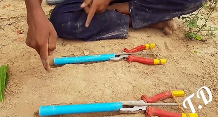 Boru ve pense ile kuş nasıl yakalanır. Kuş avlama tuzağı