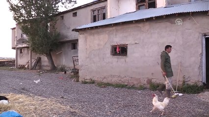 Denizden çıkan danayı sanatçı Haluk Levent satın aldı - ERZURUM