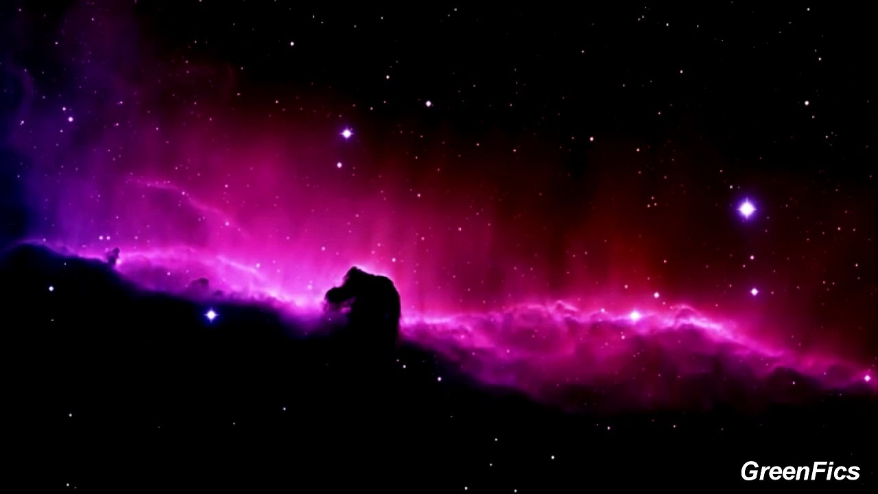 The Loud House - Bun Bun y Yo. - Fanfic. - Parte 1