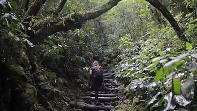 Du haut de ses 3 071 mètres d’altitude, perché au-dessus des nuages, le Piton des Neiges offre une vue imprenable sur La Réunion. Ascension imminente vers le pl