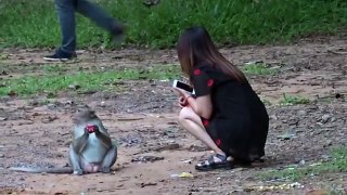 Beautiful girl with monkey