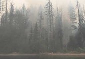 Forest Smolders from Wildfire Near Francois Lake